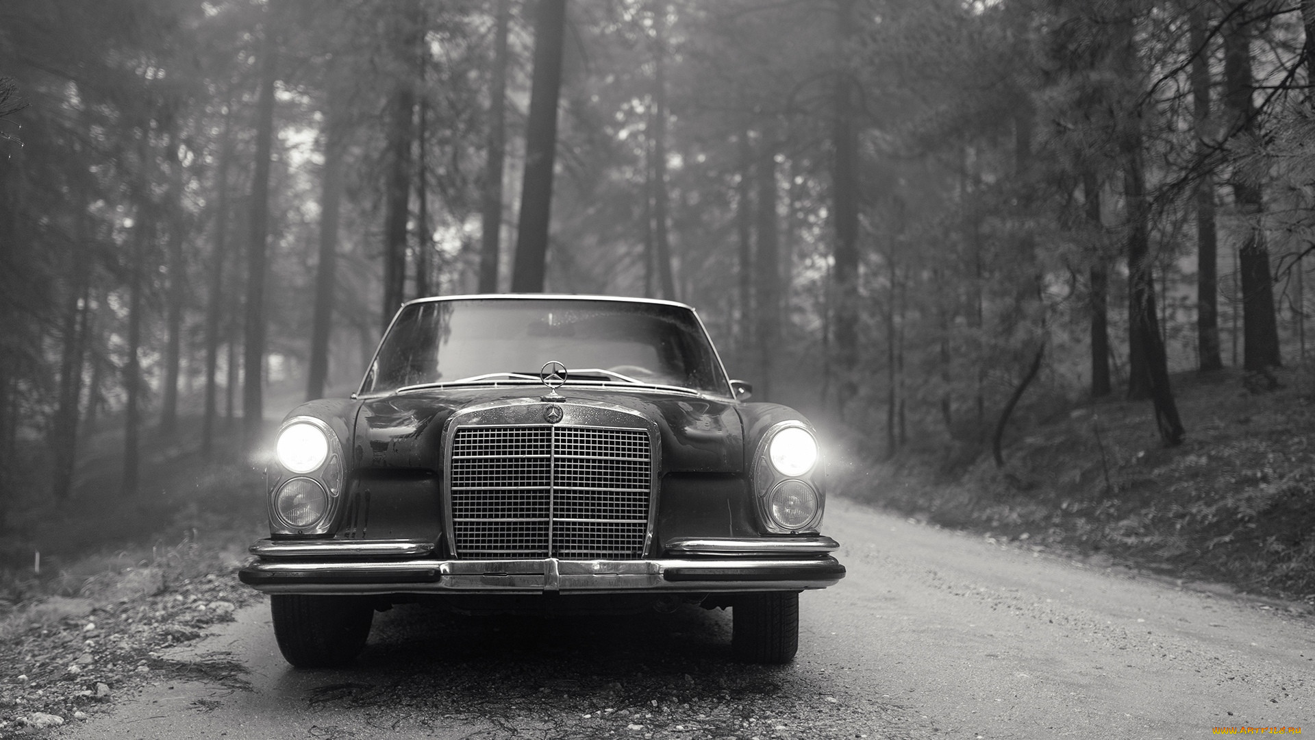 , mercedes-benz, w108